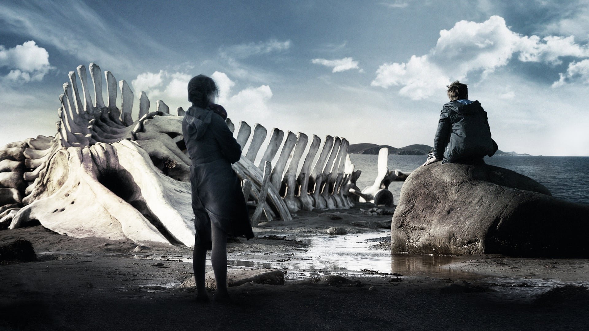 Cinematic background from Leviathan 2014 - In a Russian coastal town, Kolya is forced to fight the corrupt mayor when he is told that his house will be demolished. He recruits a lawyer friend to help, but the man's arrival brings further misfortune for Kolya and his family.