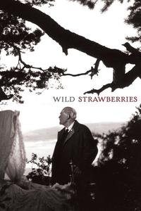 Official poster of Wild Strawberries 1957 directed by Ingmar Bergman