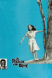 Official poster of A Patch of Blue 1965 directed by [object Object]
