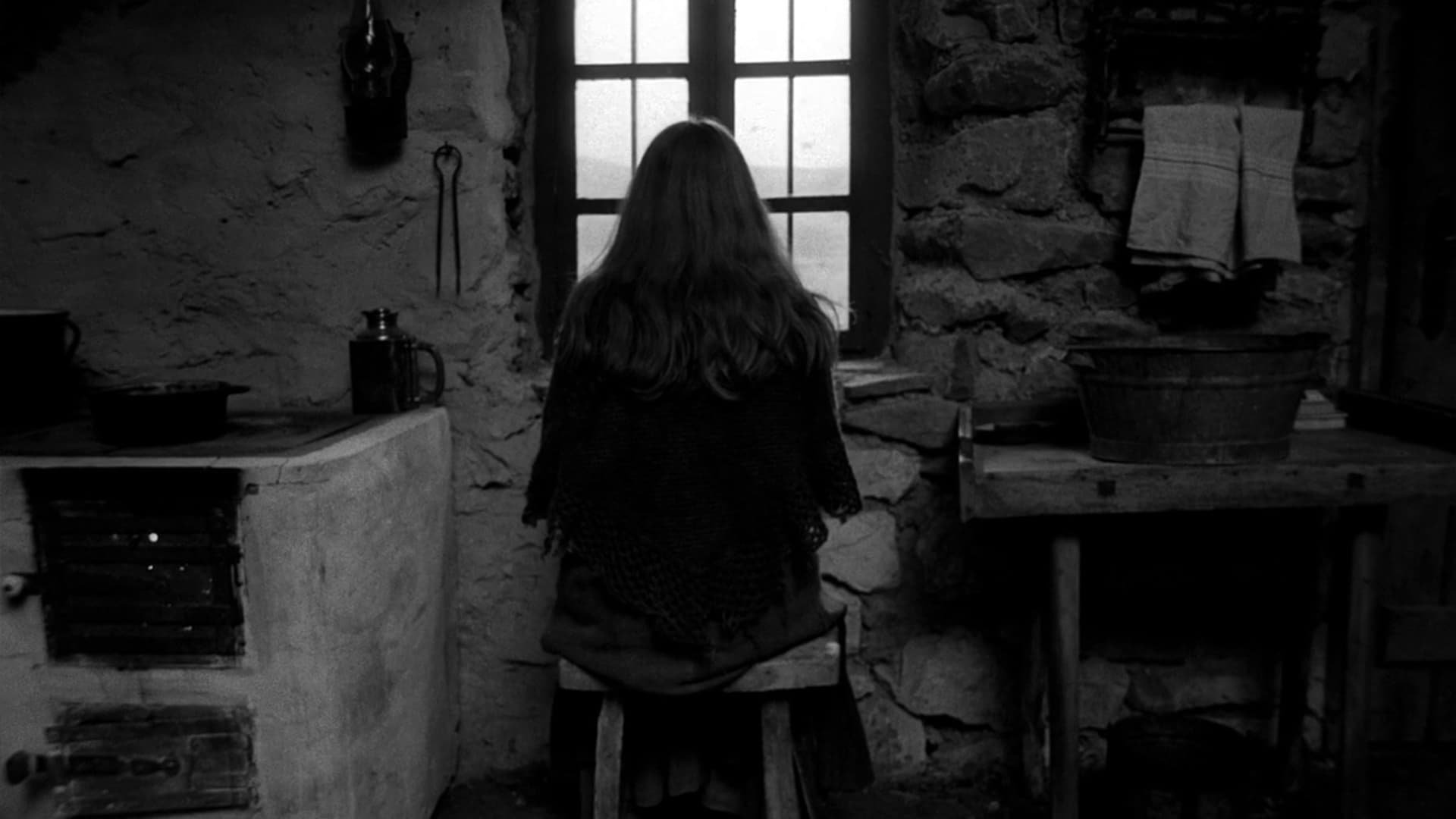 Cinematic background from The Turin Horse 2011 - A monumental windstorm and an abused horse's refusal to work or eat signal the beginning of the end for a poor farmer and his daughter.