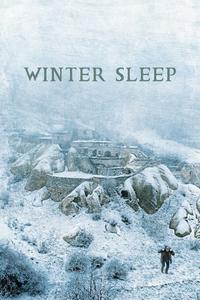 Official poster of Winter Sleep 2014 directed by [object Object]