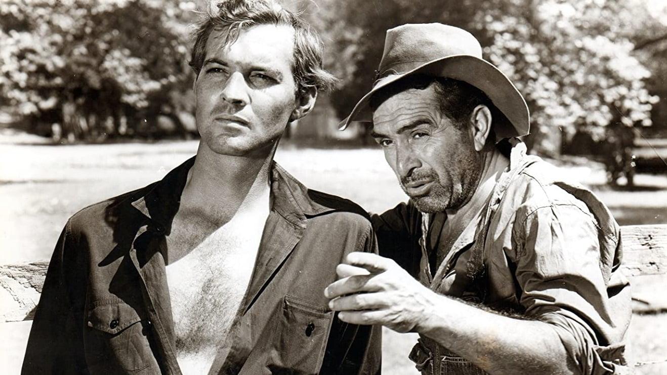 Cinematic background from The Southerner 1945 - Sam Tucker, a cotton picker, in search of a better future for his family, decides to grow his own cotton crop. In the first year, the Tuckers battle disease, a flood, and a jealous neighbor. Can they make it as farmers?