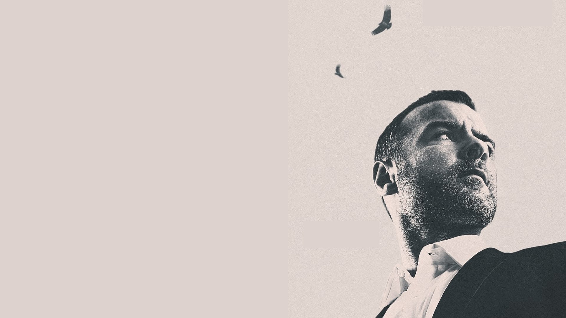 Cinematic background from Ray Donovan: The Movie 2022 - A showdown decades in the making brings the Donovan family legacy full circle. As the events that made Ray who he is today finally come to light, the Donovans find themselves drawn back to Boston to face the past. Each of them struggles to overcome their violent upbringing, but destiny dies hard, and only their fierce love for each other keeps them in the fight.