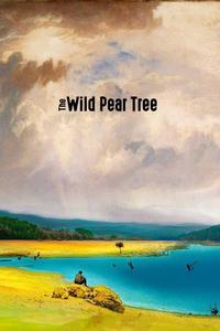 Official poster of The Wild Pear Tree 2018 directed by [object Object]