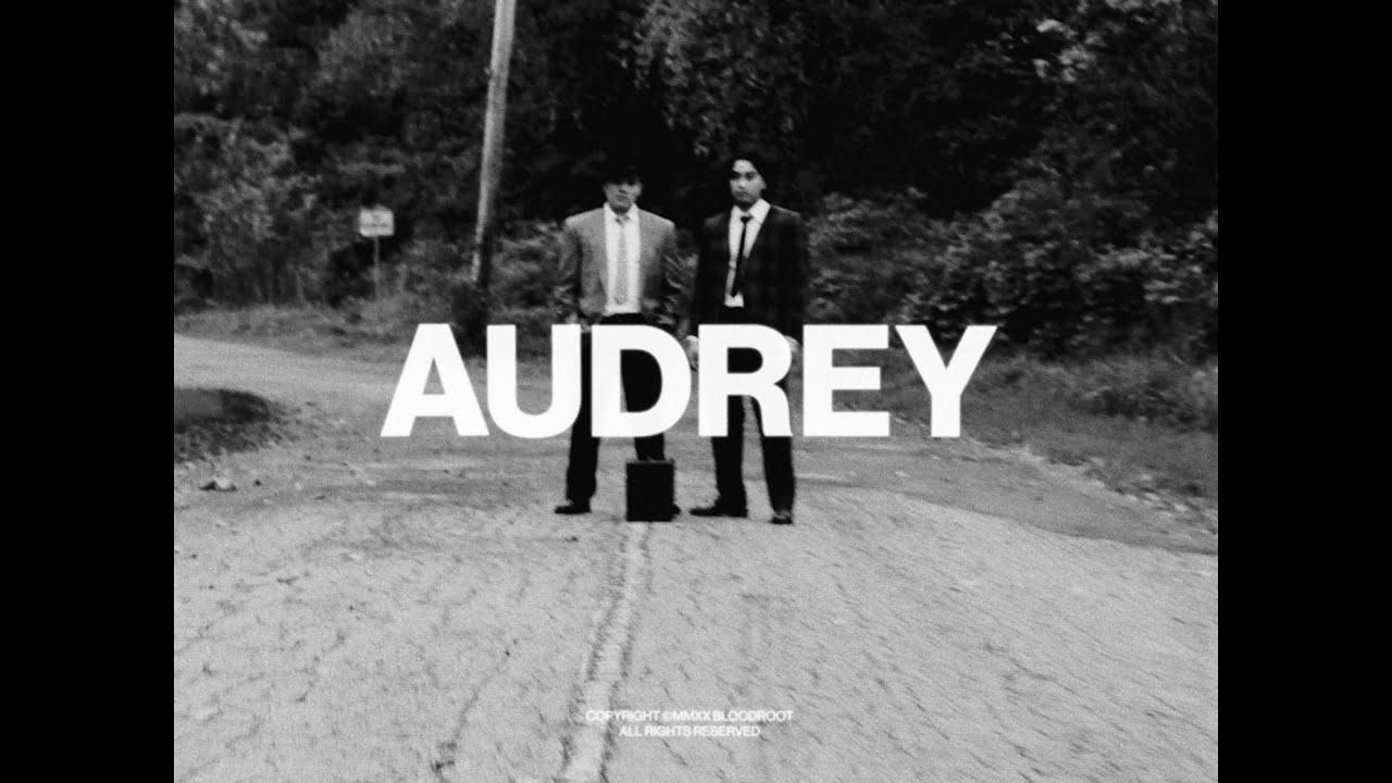 Cinematic background from Bloodroot - Audrey 2020 - null