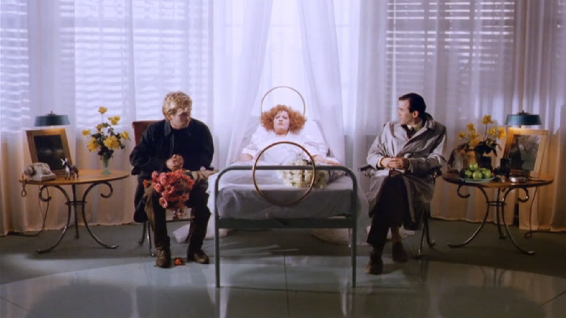 Cinematic background from A Zed & Two Noughts 1985 - Twin zoologists lose their wives in a car accident and become obsessed with decomposing animals.