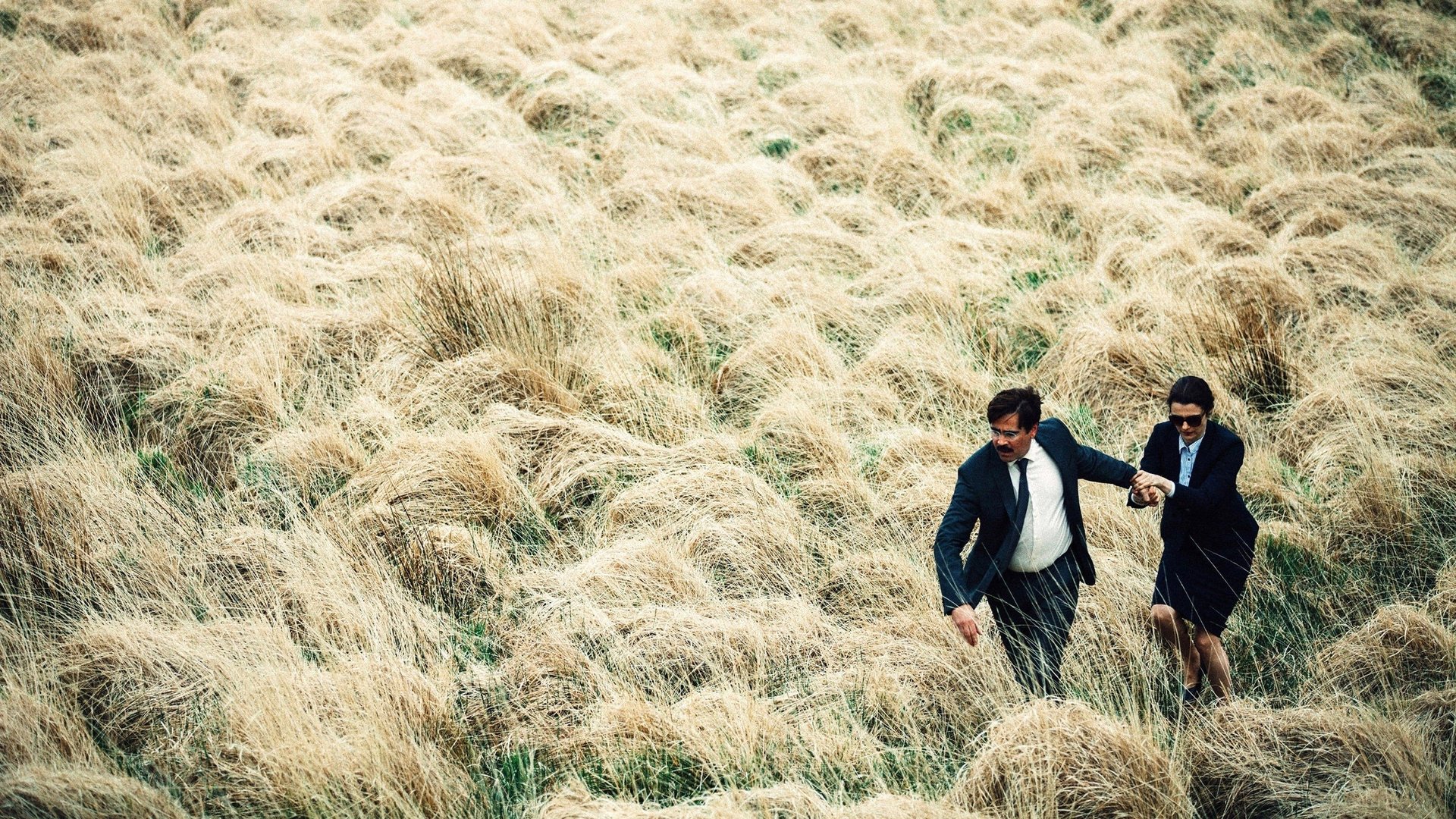 Cinematic background from The Lobster 2015 - In a dystopian near future, single people, according to the laws of The City, are taken to The Hotel, where they are obliged to find a romantic partner in forty-five days or are transformed into animals and sent off into The Woods.