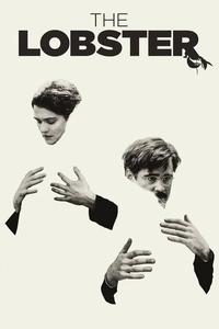 Official poster of The Lobster 2015 directed by [object Object]