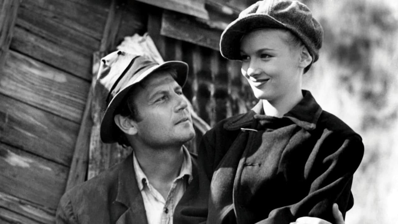 Cinematic background from Sullivan's Travels 1941 - Successful movie director John L. Sullivan, convinced he won't be able to film his ambitious masterpiece until he has suffered, dons a hobo disguise and sets off on a journey, aiming to "know trouble" first-hand. When all he finds is a train ride back to Hollywood and a beautiful blonde companion, he redoubles his efforts, managing to land himself in more trouble than he bargained for when he loses his memory and ends up a prisoner on a chain gang.