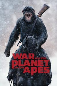 Official poster of War for the Planet of the Apes 2017 directed by [object Object]