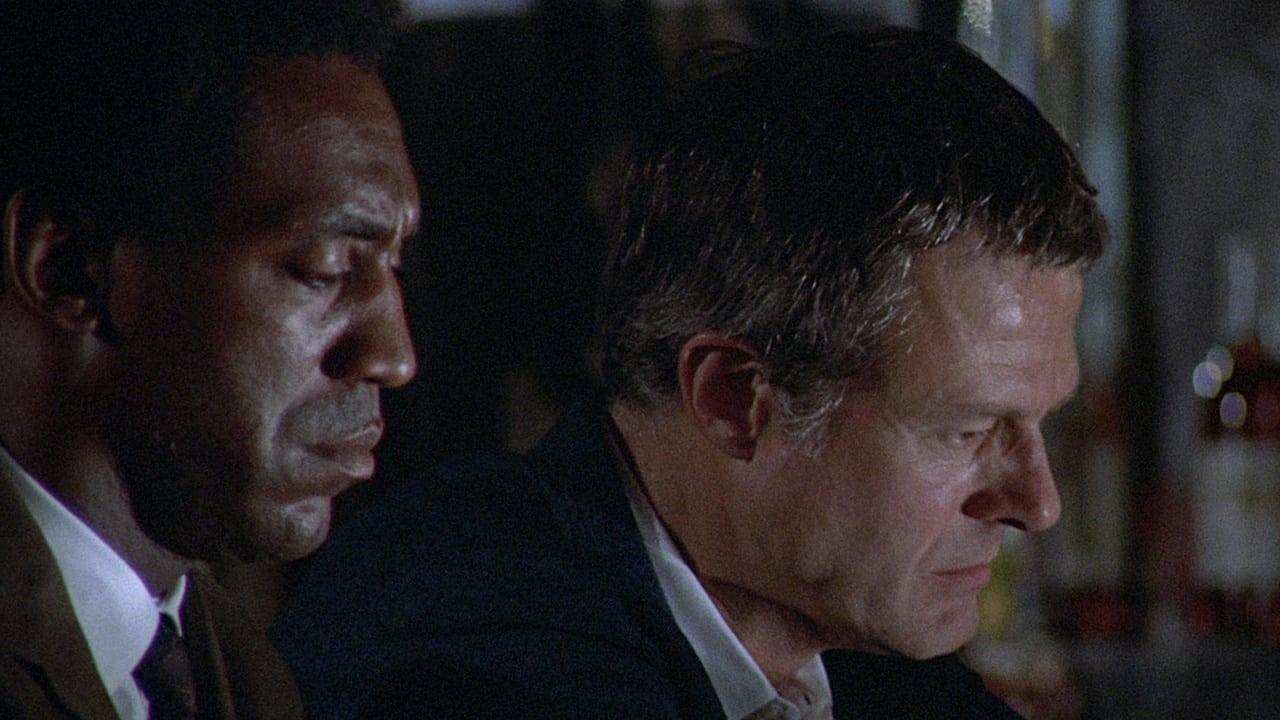 Cinematic background from Hickey & Boggs 1972 - Two veteran private eyes trigger a criminal reign of terror with their search for a missing girl.