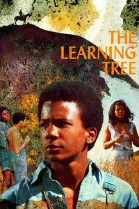 Official poster of The Learning Tree 1969 directed by [object Object]