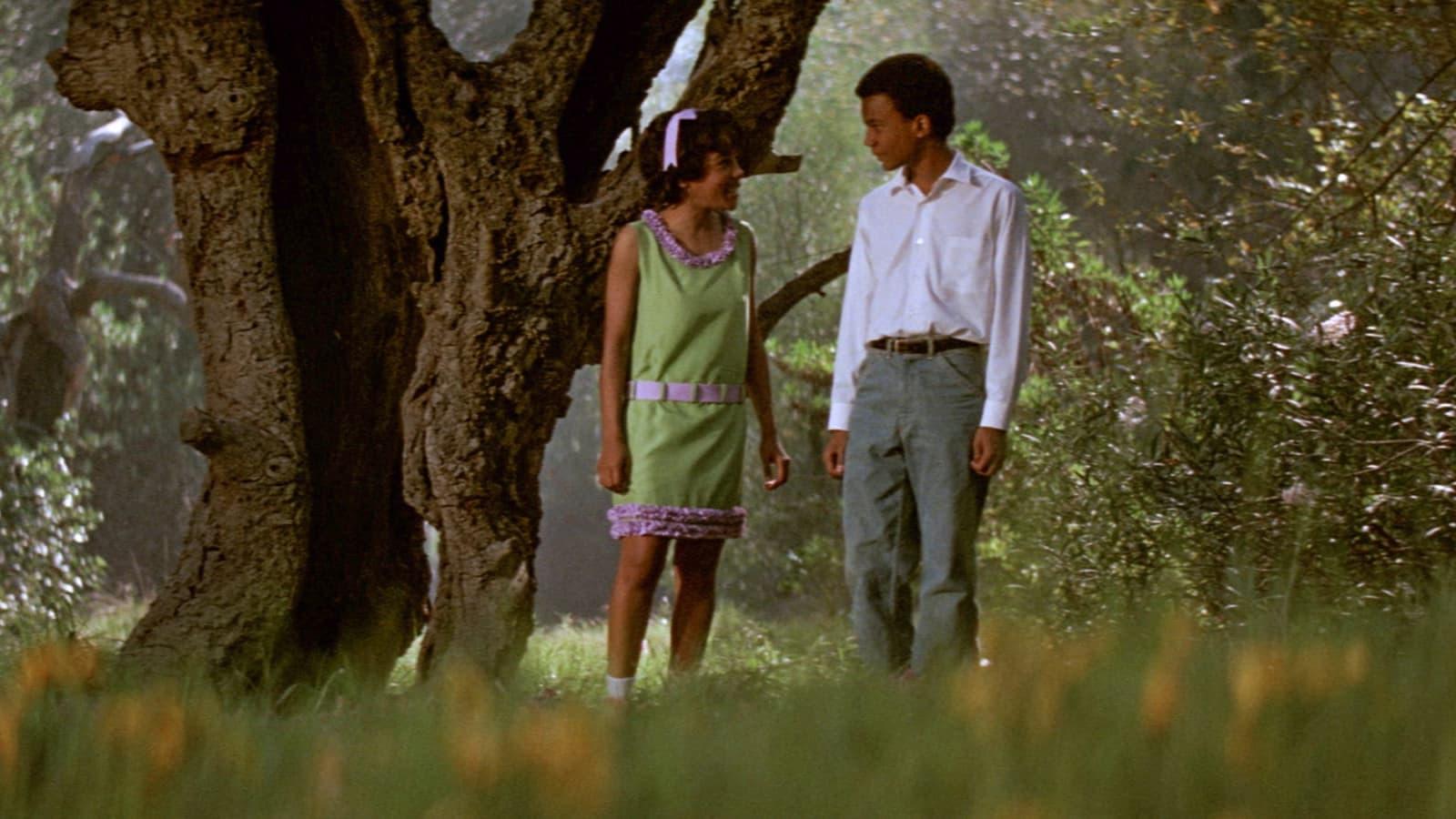 Cinematic background from The Learning Tree 1969 - The story, set in Kansas during the 1920's, covers less than a year in the life of a black teenager, and documents the veritable deluge of events which force him into sudden manhood. The family relationships and enmities, the fears, frustrations and ambitions of the black teenager in small-town America are explored with a strong statement about human values.