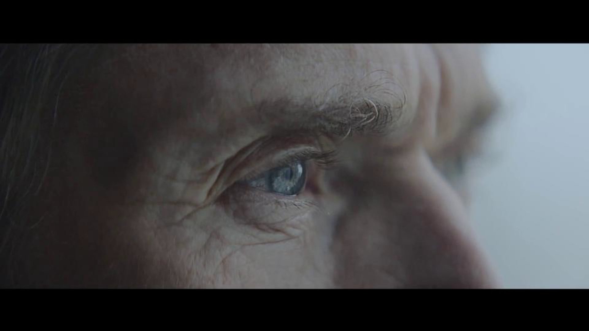 Cinematic background from Antony and The Johnsons - Cut the World 2012 - null