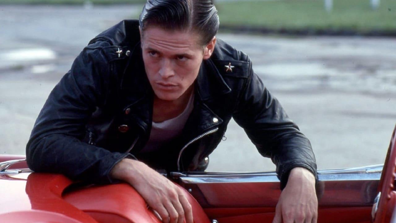 Cinematic background from The Loveless 1981 - Trouble ensues when a motorcycle gang stops in a small southern town while heading to the races at Daytona.