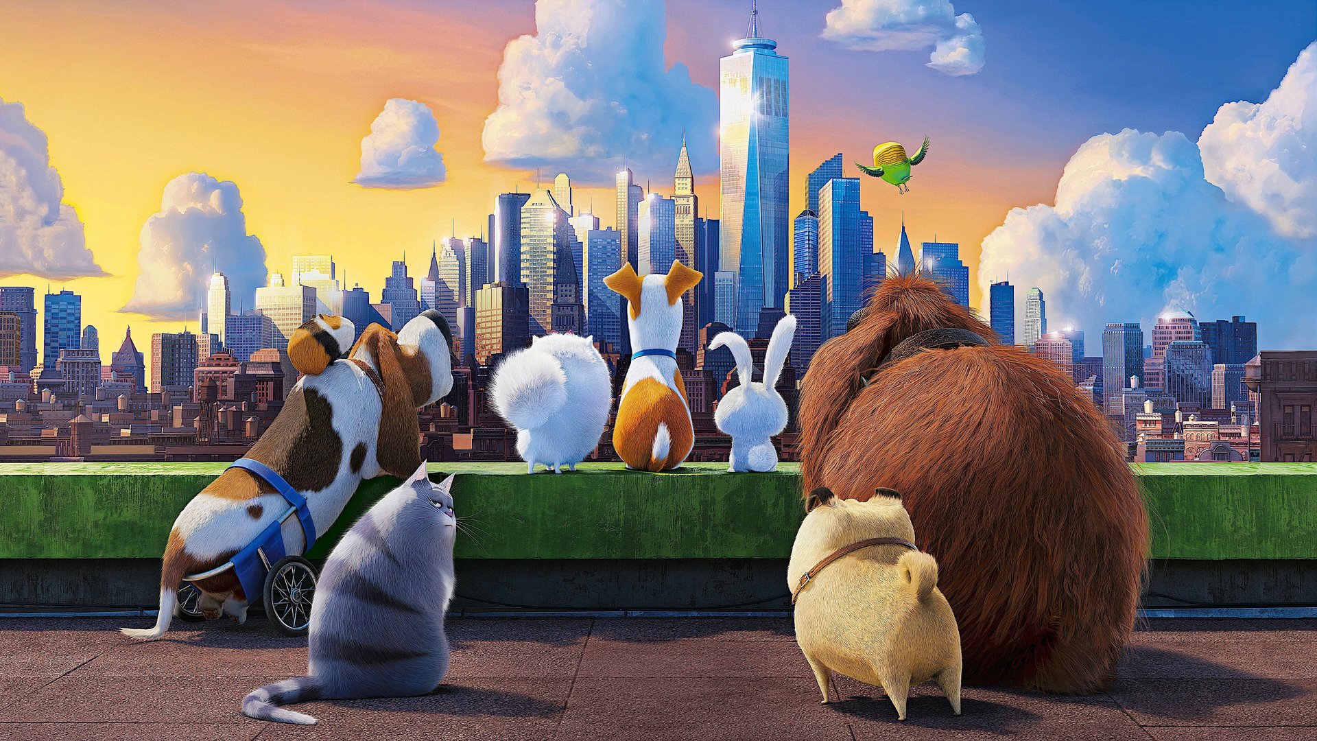 Cinematic background from The Secret Life of Pets 2016 - The quiet life of a terrier named Max is upended when his owner takes in Duke, a stray whom Max instantly dislikes.