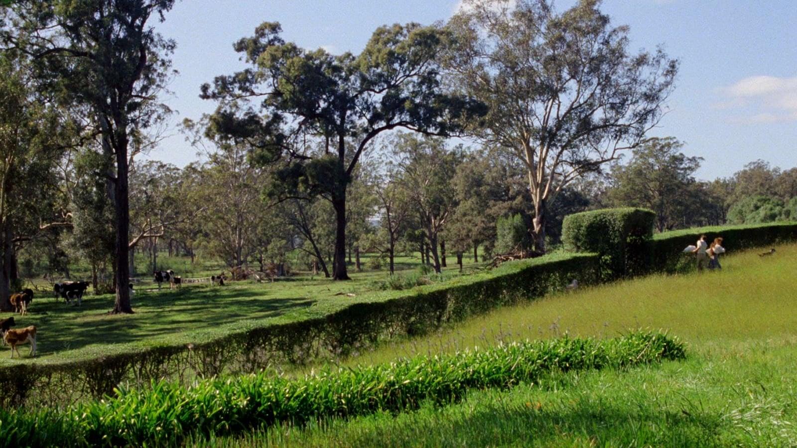 Cinematic background from My Brilliant Career 1979 - A young woman who is determined to maintain her independence finds herself at odds with her family who wants her to tame her wild side and get married.