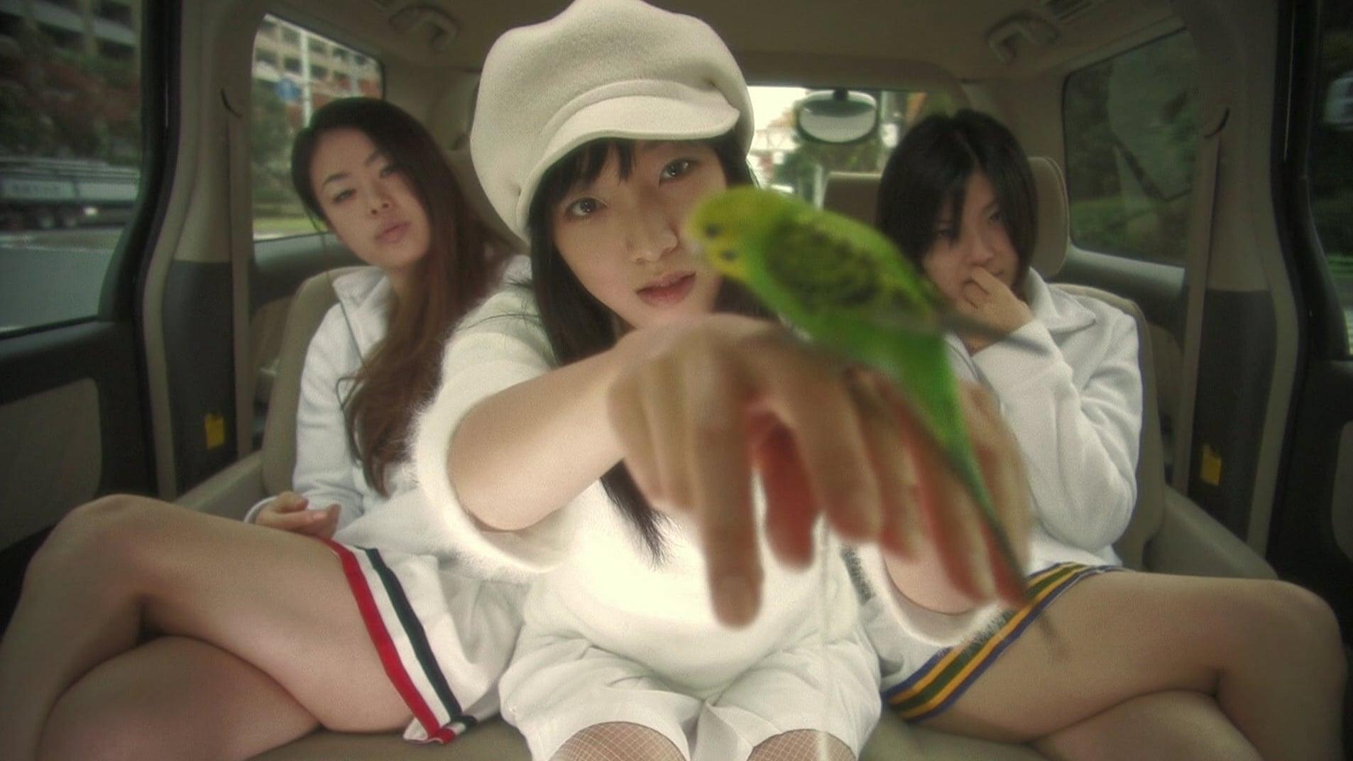 Cinematic background from Love Exposure 2008 - The story of a teenage boy named Yu, who falls for Yoko, a girl he runs into while working as an "up-skirt" photographer in an offshoot of the porn industry. His attempts to woo her are complicated by a spot of cross-dressing – which convinces Yoko that she is lesbian – dalliances with kung-fu and crime, and a constant struggle with the guilt that's a legacy of his Catholic upbringing.
