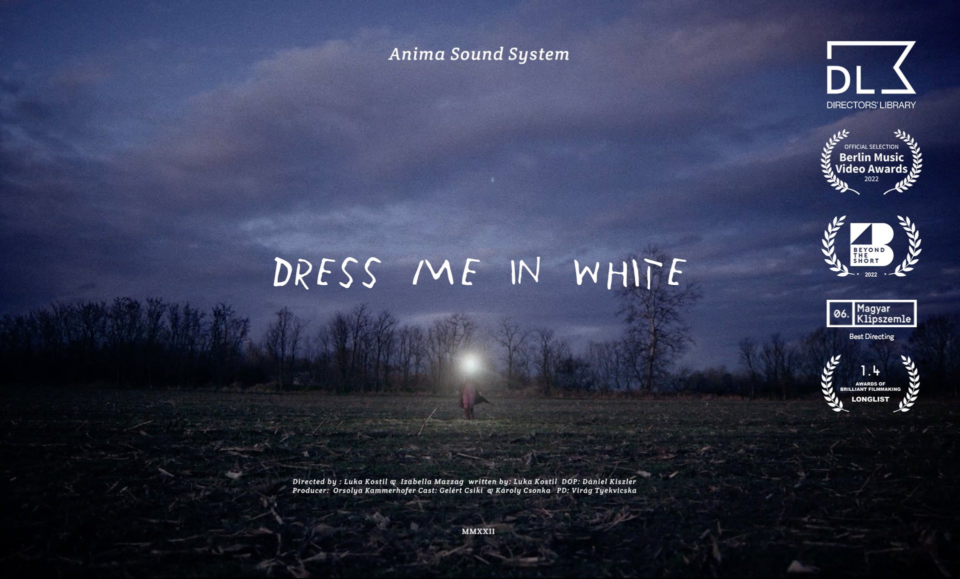 Cinematic background from Anima Sound System - Dress Me In White 2022 - null