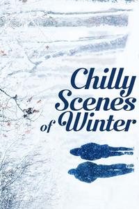 Official poster of Chilly Scenes of Winter 1979 directed by [object Object]