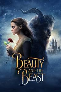 Official poster of Beauty and the Beast 2017 directed by [object Object]