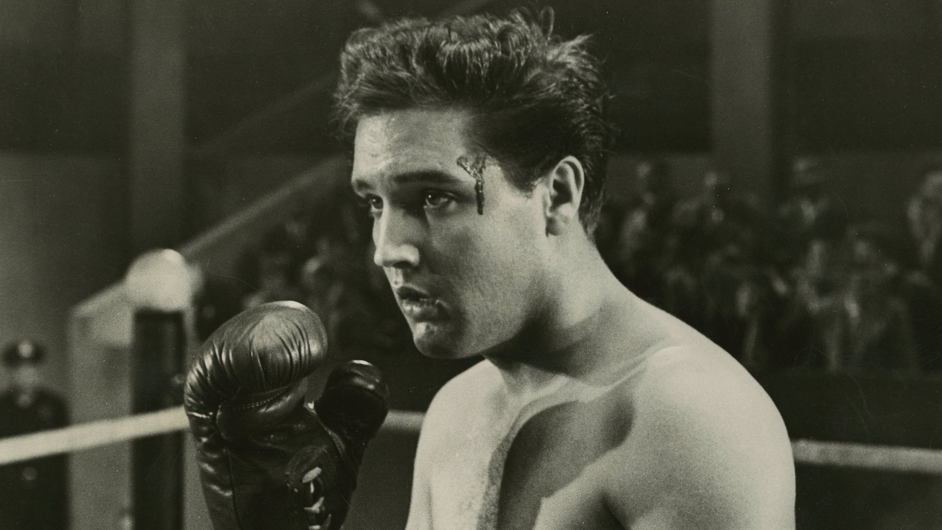 Cinematic background from Kid Galahad 1962 - After completing his military service, Walter Gulick takes a job as a sparring partner at a gym, the owner of which sees potential in Walter as a professional fighter—and takes him under his wing.