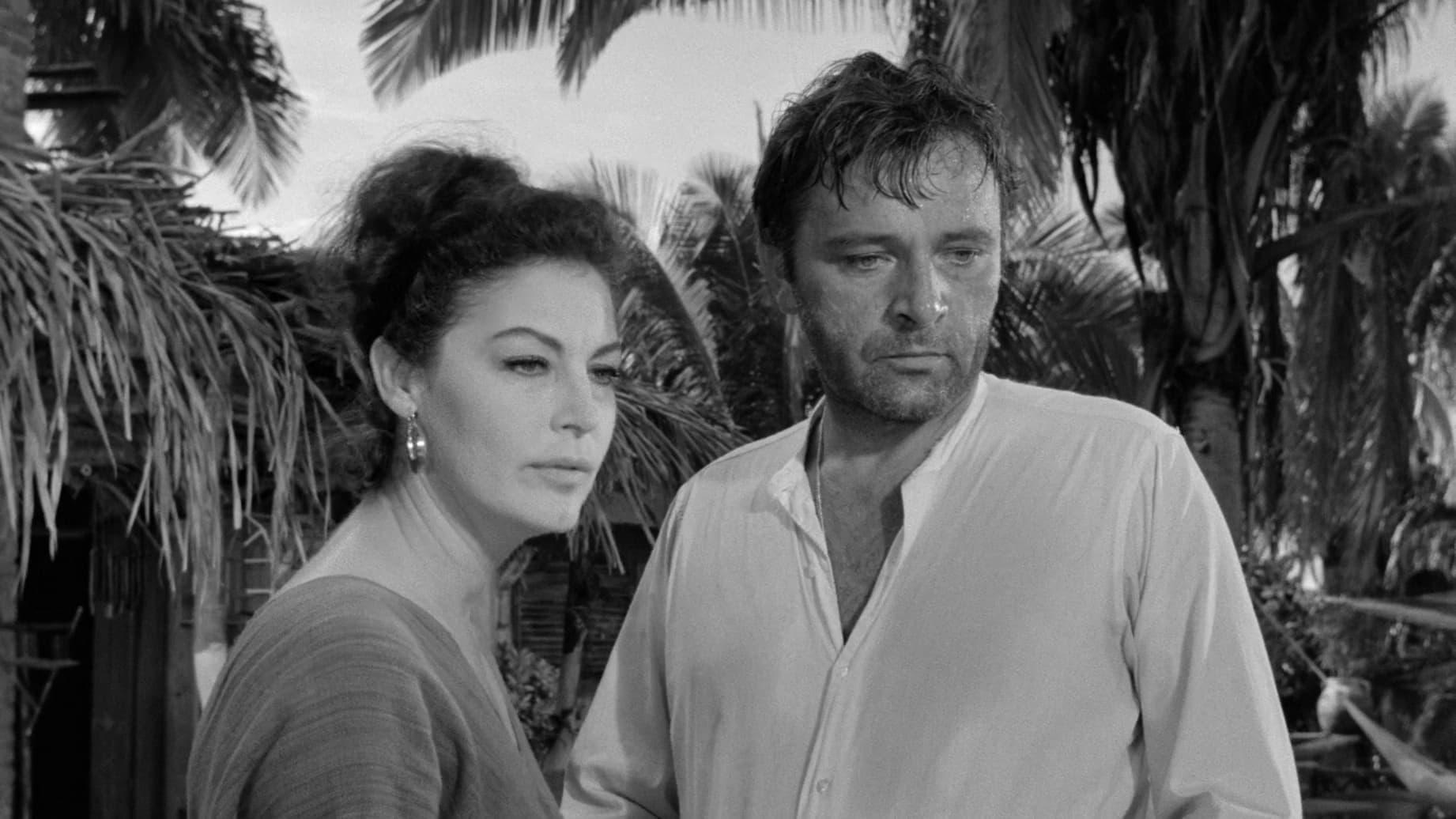 Cinematic background from The Night of the Iguana 1964 - A defrocked Episcopal clergyman leads a bus-load of middle-aged Baptist women on a tour of the Mexican coast and comes to terms with the failure haunting his life.