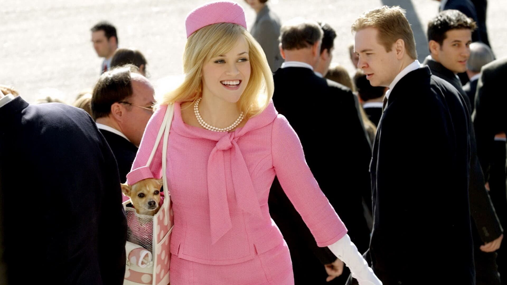 Cinematic background from Legally Blonde 2: Red, White & Blonde 2003 - Now a rising young lawyer, Elle Woods is about to make partner at her firm, but when she finds out her dog's relatives are being used as cosmetic test subjects, she heads to Washington D.C. to fight for animal rights.