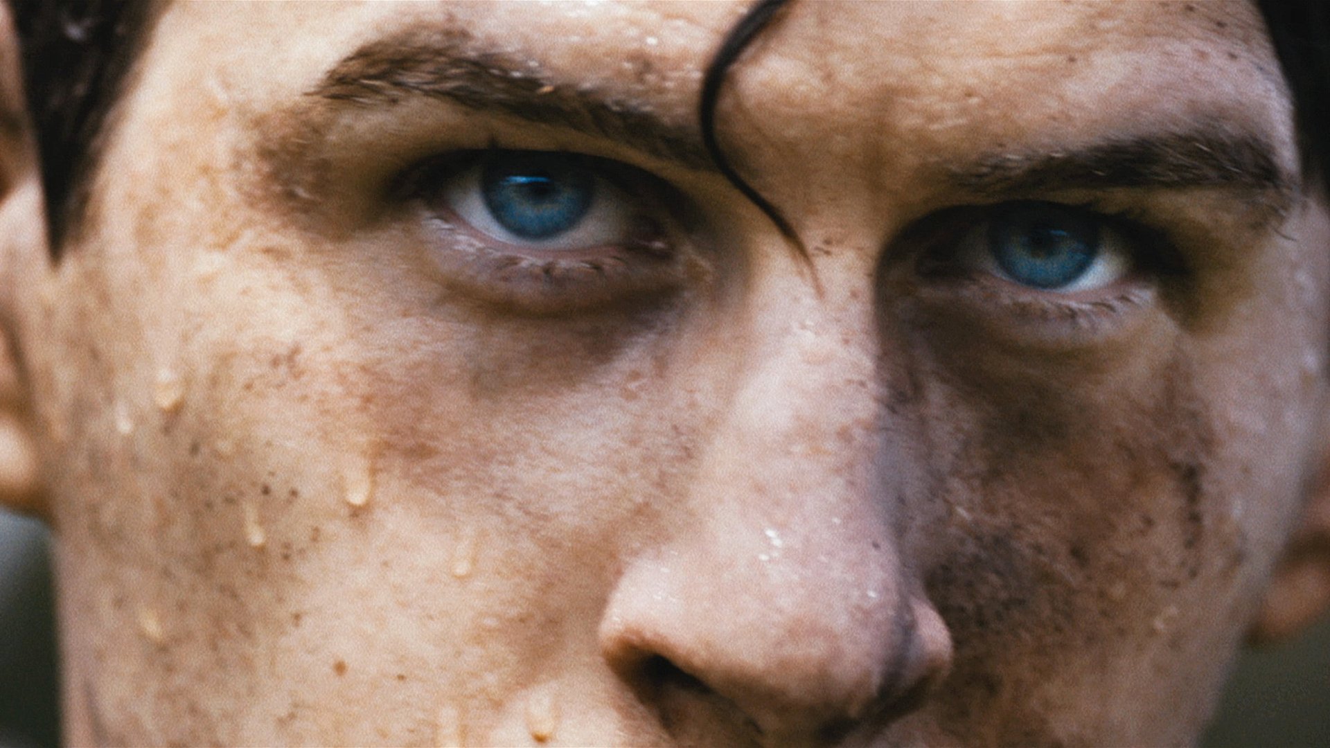 Cinematic background from Alt-J - Hunger of the Pine 2015 - null