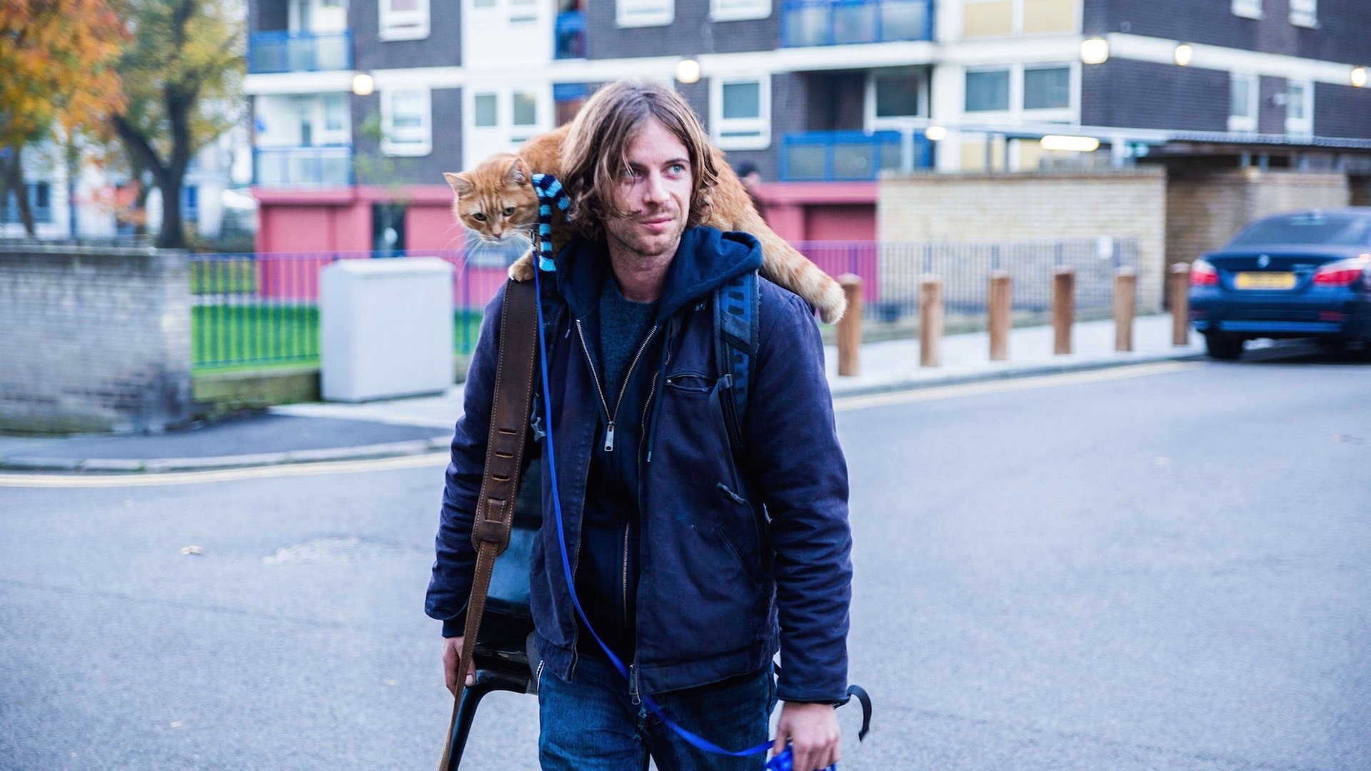 Cinematic background from A Street Cat Named Bob 2016 - James Bowen, a homeless busker and recovering drug addict, has his life transformed when he meets a stray ginger cat.