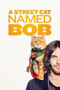 Official poster of A Street Cat Named Bob 2016 directed by [object Object]