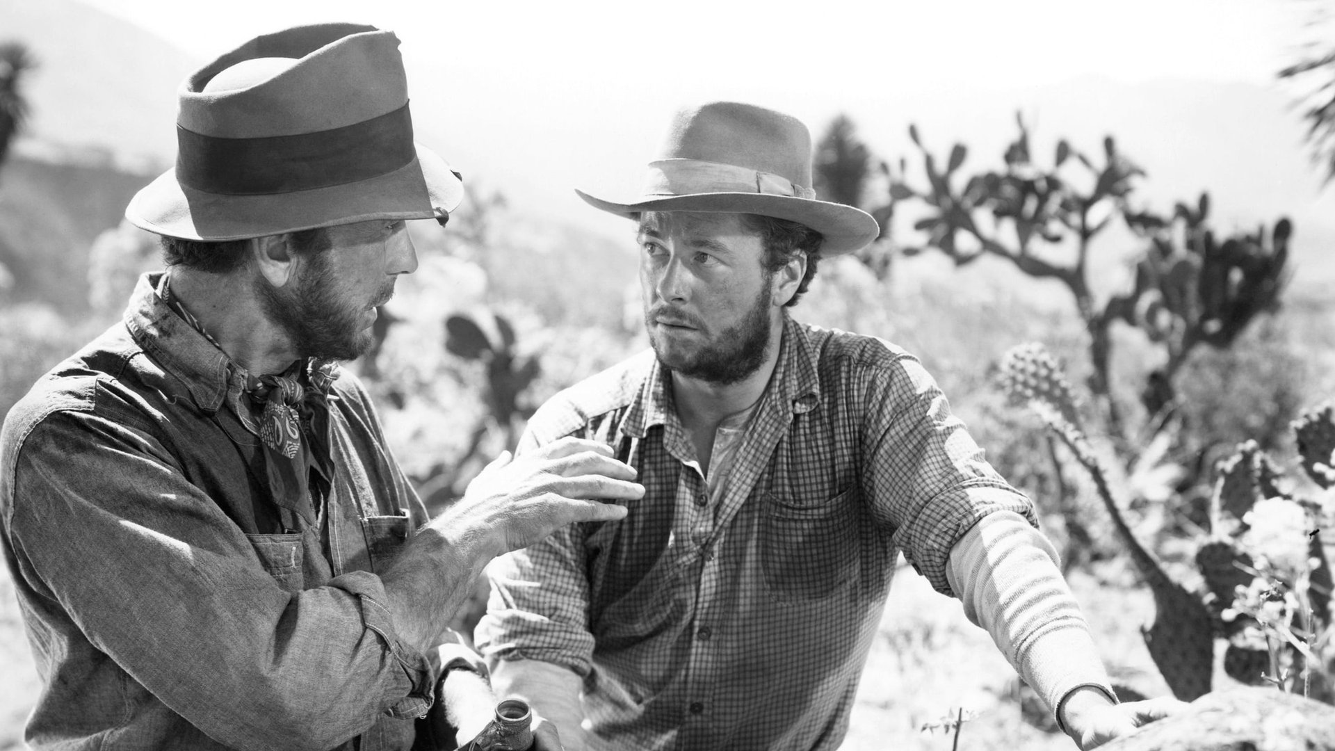 Cinematic background from The Treasure of the Sierra Madre 1948 - Fred C. Dobbs and Bob Curtin, both down on their luck in Tampico, Mexico in 1925, meet up with a grizzled prospector named Howard and decide to join with him in search of gold in the wilds of central Mexico. Through enormous difficulties, they eventually succeed in finding gold, but bandits, the elements, and most especially greed threaten to turn their success into disaster.
