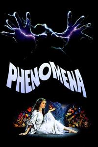 Official poster of Phenomena 1985 directed by [object Object]