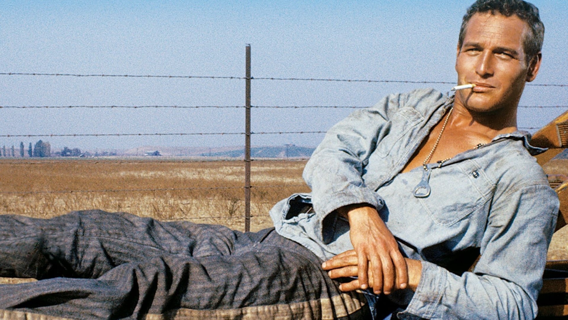 Cinematic background from Cool Hand Luke 1967 - When petty criminal Luke Jackson is sentenced to two years in a Florida prison farm, he doesn't play by the rules of either the sadistic warden or the yard's resident heavy, Dragline, who ends up admiring the new guy's unbreakable will. Luke's bravado, even in the face of repeated stints in the prison's dreaded solitary confinement cell, "the box," make him a rebel hero to his fellow convicts and a thorn in the side of the prison officers.