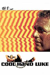 Official poster of Cool Hand Luke 1967 directed by [object Object]