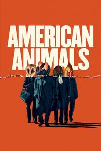 Official poster of American Animals 2018 directed by [object Object]