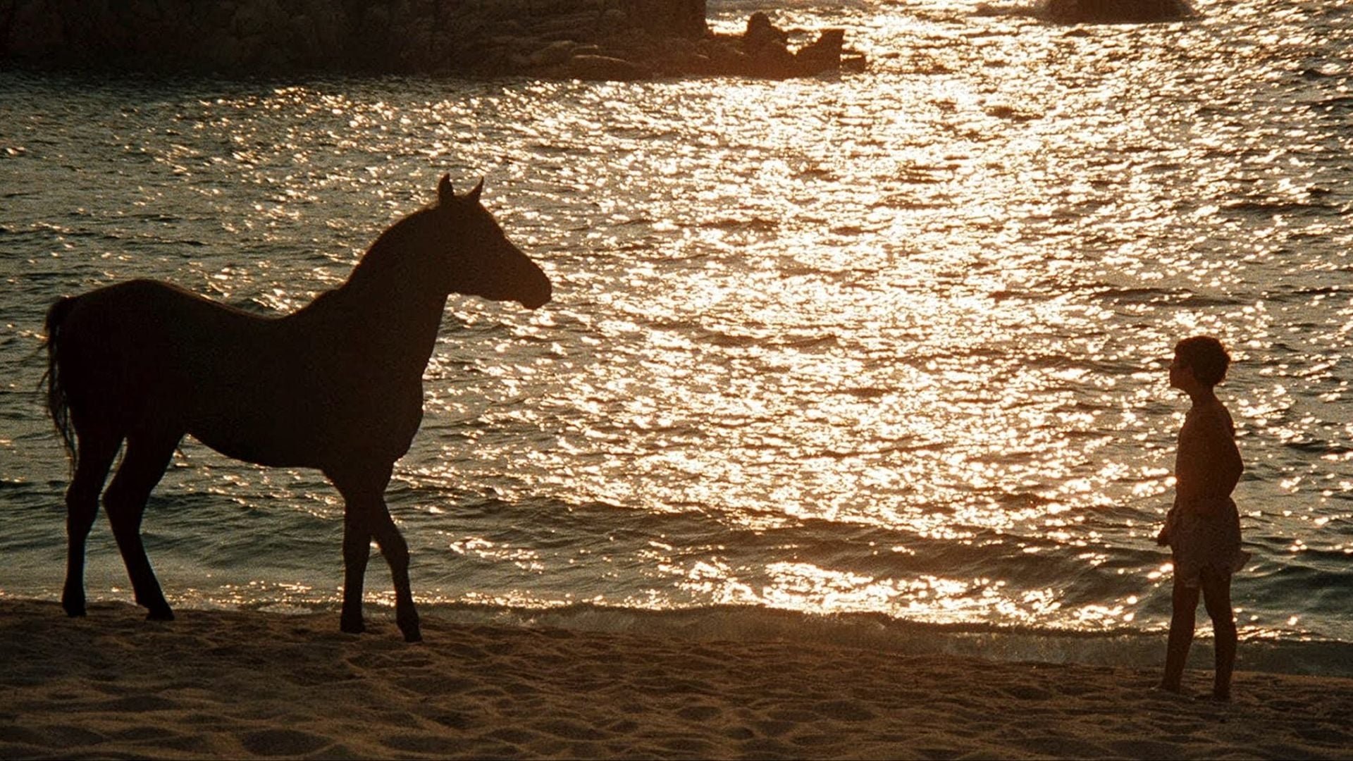 Cinematic background from The Black Stallion 1979 - While traveling with his father, young Alec becomes fascinated by a mysterious Arabian stallion that is brought on board and stabled in the ship he is sailing on. When it tragically sinks both he and the horse survive only to be stranded on a deserted island. He befriends it, so when finally rescued both return to his home where they soon meet Henry Dailey, a once successful trainer. Together they begin training the horse to race against the fastest ones in the world.