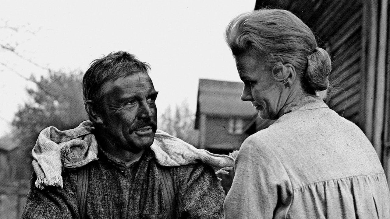 Cinematic background from The Molly Maguires 1970 - Schuylkill County, Pennsylvania, 1876. A secret society of Irish coal miners, bond by a sacred oath, put pressure on the greedy and ruthless company they work for by sabotaging mining facilities in the hope of improving their working conditions and the lives of their families.