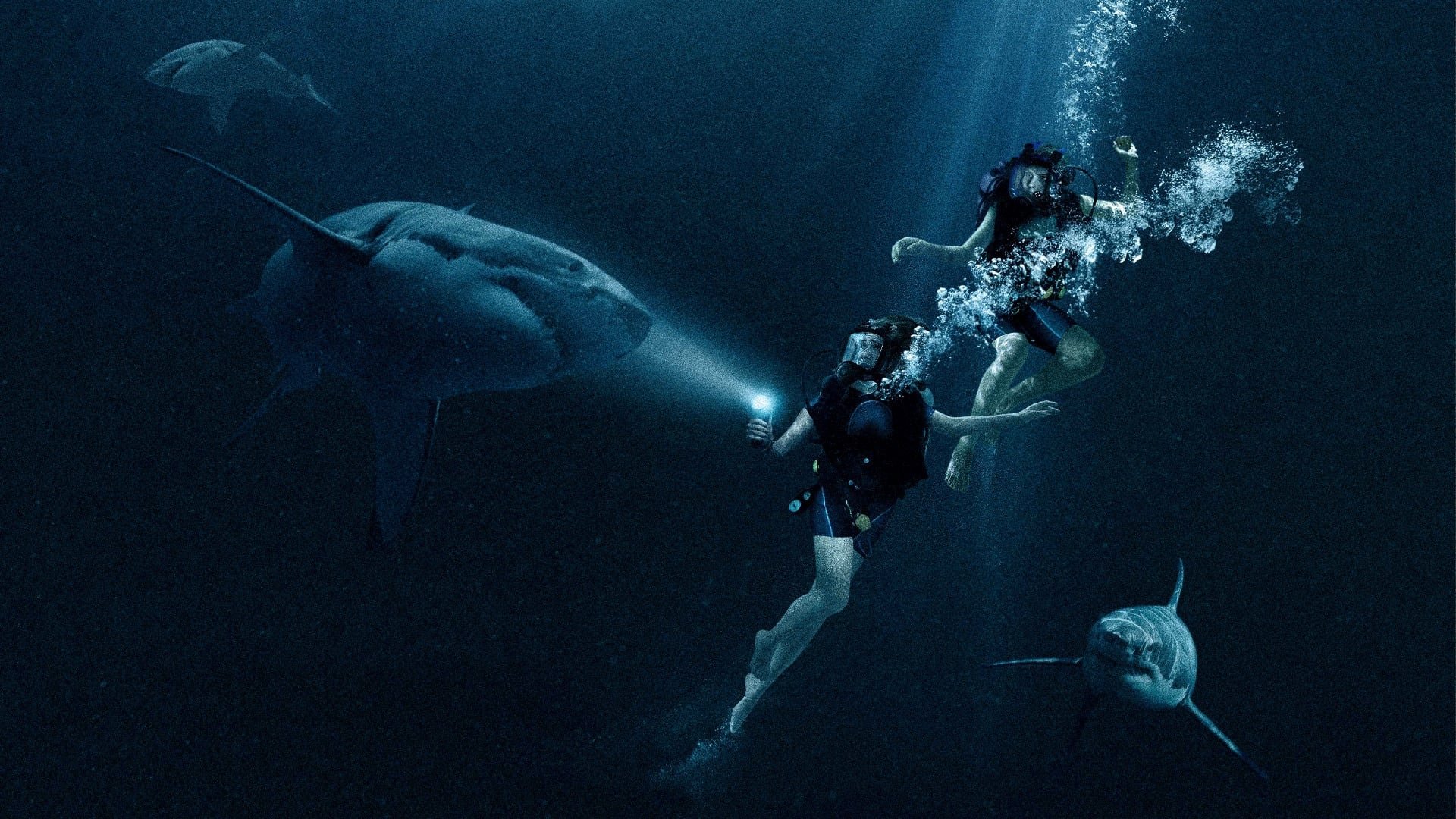 Cinematic background from 47 Meters Down 2017 - Two sisters on Mexican vacation are trapped in a shark observation cage at the bottom of the ocean, with oxygen running low and great whites circling nearby, they have less than an hour of air left to figure out how to get to the surface.