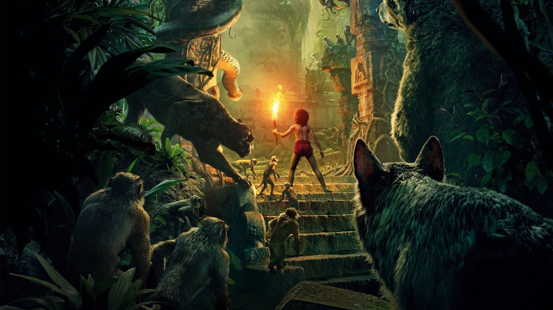Cinematic background from The Jungle Book 2016 - A man-cub named Mowgli fostered by wolves. After a threat from the tiger Shere Khan, Mowgli is forced to flee the jungle, by which he embarks on a journey of self discovery with the help of the panther, Bagheera and the free-spirited bear, Baloo.
