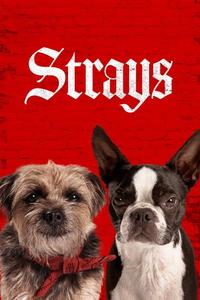 Official poster of Strays 2023 directed by [object Object]