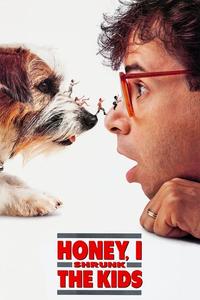 Official poster of Honey, I Shrunk the Kids 1989 directed by [object Object]