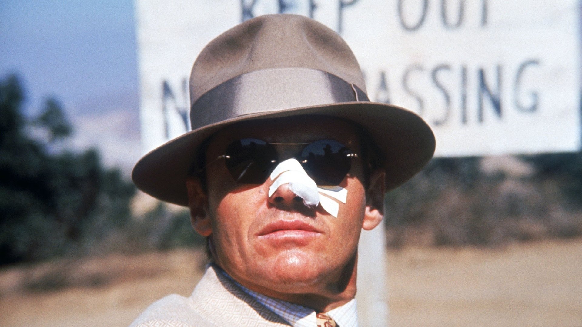 Cinematic background from Chinatown 1974 - Private eye Jake Gittes lives off of the murky moral climate of sunbaked, pre-World War II Southern California. Hired by a beautiful socialite to investigate her husband's extra-marital affair, Gittes is swept into a maelstrom of double dealings and deadly deceits, uncovering a web of personal and political scandals that come crashing together.