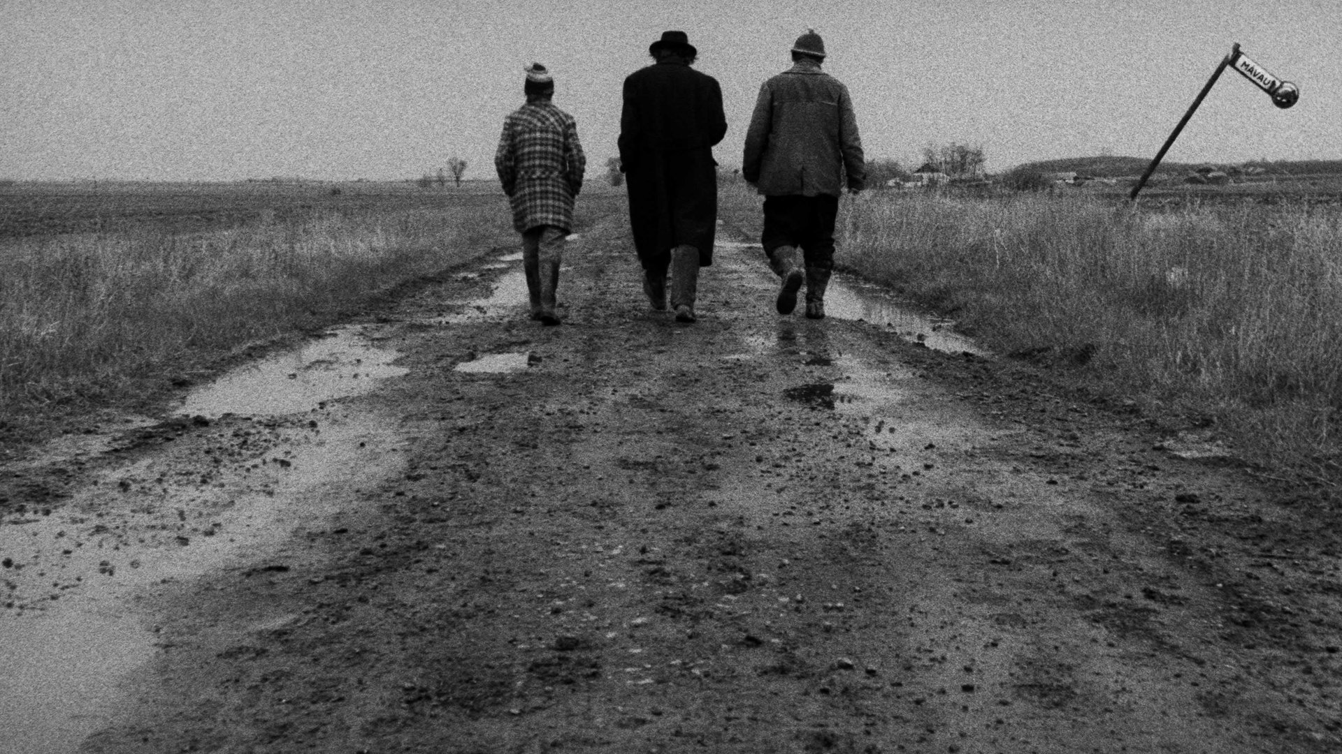 Cinematic background from Satantango 1994 - Inhabitants of a small village in Hungary deal with the effects of the fall of Communism. The town's source of revenue, a factory, has closed, and the locals, who include a doctor and three couples, await a cash payment offered in the wake of the shuttering. Irimias, a villager thought to be dead, returns and, unbeknownst to the locals, is a police informant. In a scheme, he persuades the villagers to form a commune with him.