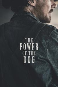 Official poster of The Power of the Dog 2021 directed by [object Object]