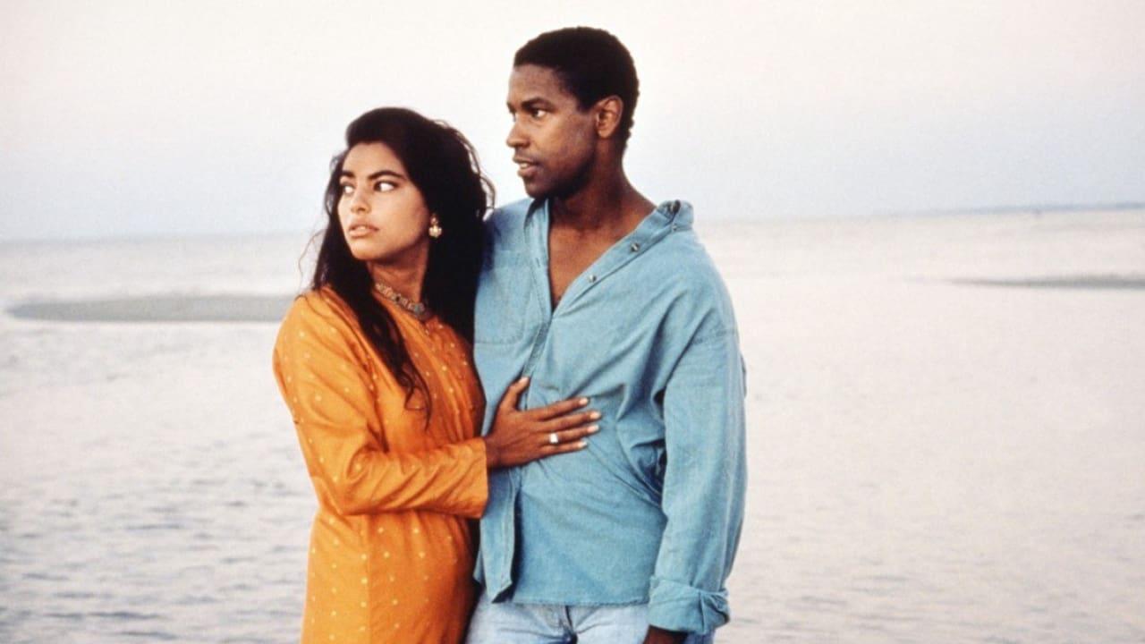 Cinematic background from Mississippi Masala 1991 - Years after her Indian family was forced to flee their home in Uganda, twentysomething Mina finds herself helping to run a motel in the faraway land of Mississippi. It's there that a passionate romance with the charming Black carpet cleaner Demetrius challenges the prejudices of their conservative families and exposes the rifts between the region's Indian and African American communities.