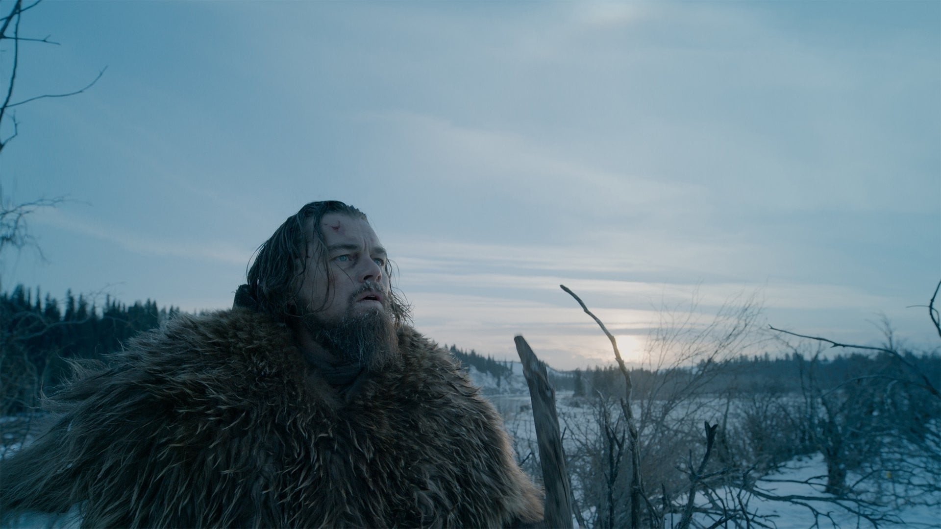 Cinematic background from The Revenant 2015 - In the 1820s, a frontiersman, Hugh Glass, sets out on a path of vengeance against those who left him for dead after a bear mauling.