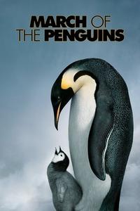 Official poster of March of the Penguins 2005 directed by [object Object]
