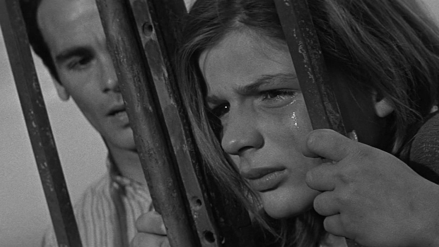 Cinematic background from Rapture 1965 - Agnes, a lonely teenage girl, and her father befriend an escaped convict, named Joseph, who arrives at their farm in Brittany, France. When Joseph develops an attraction to Agnes, her father threatens to break up the union.