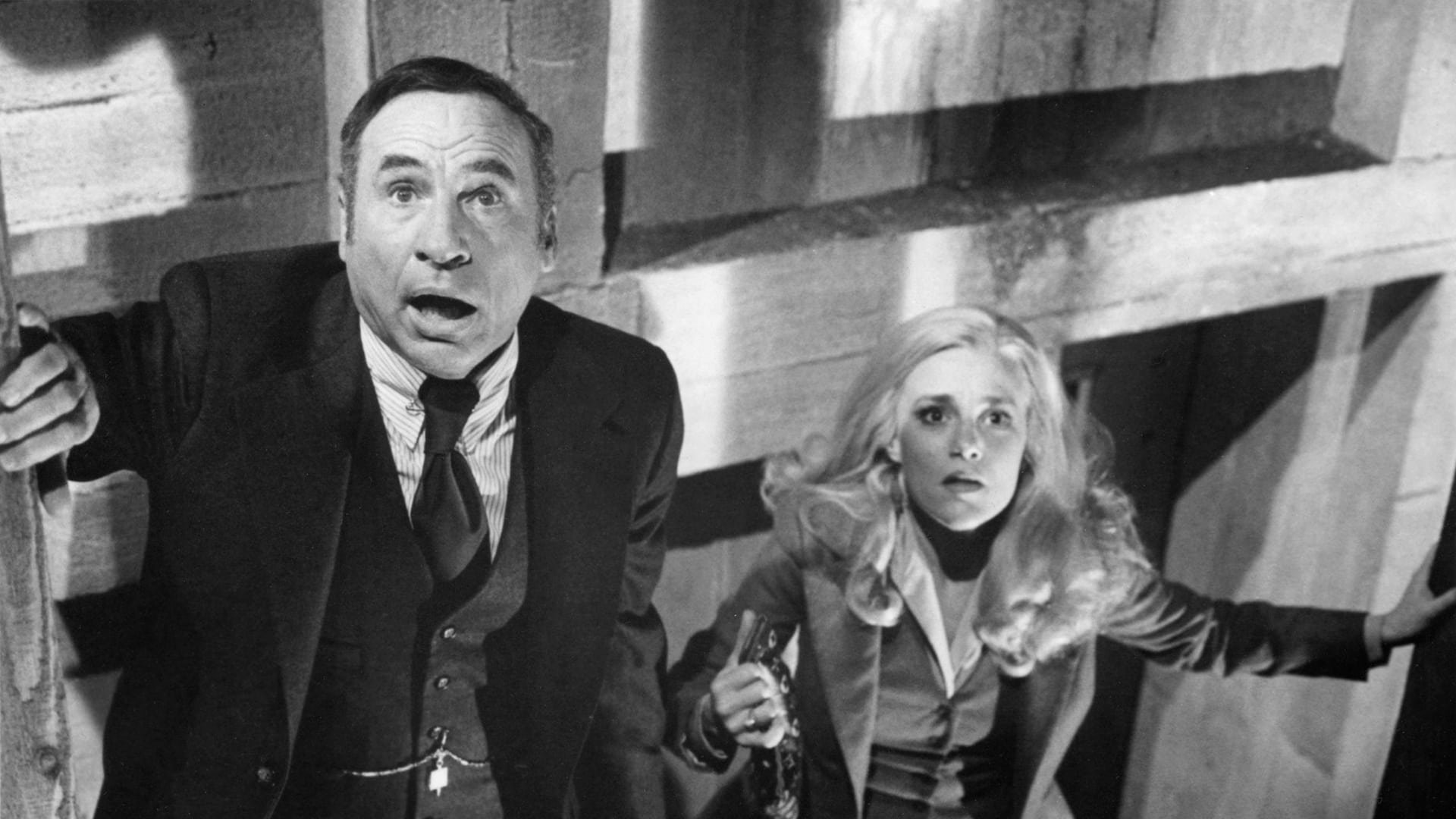 Cinematic background from High Anxiety 1977 - A psychiatrist with intense acrophobia (fear of heights) goes to work for a mental institution run by doctors who appear to be crazier than their patients, and have secrets that they are willing to commit murder to keep.